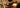 New Visions for Christmastide